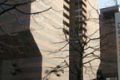 Saddam’s secret money laundering trail