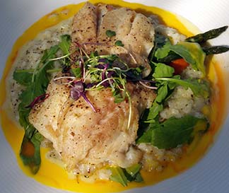 yellowtail snapper