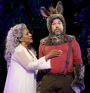 Midsummer Night’s DreamShakespeare in the Park