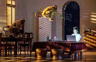 “A Room in India” a brilliant, surreal, feminist political commentary