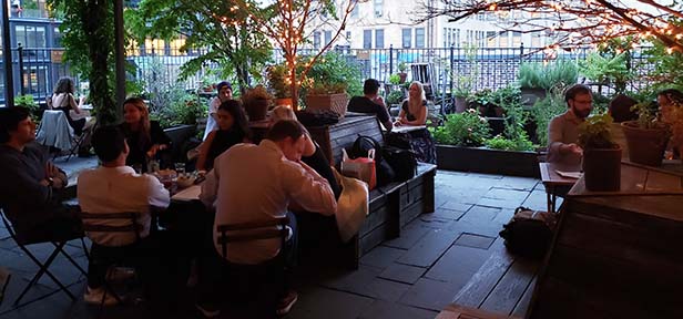 Drinks Cafe wide