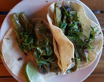Tacos with Prickly Pear Cactus & Refried Beans